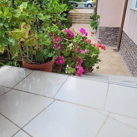 ホテル Iceberg ラヴダ